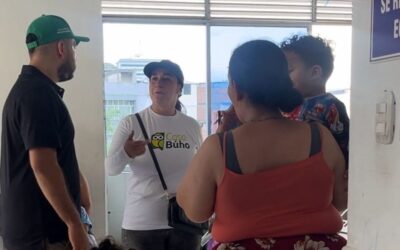 Casa Búho está en búsqueda activa