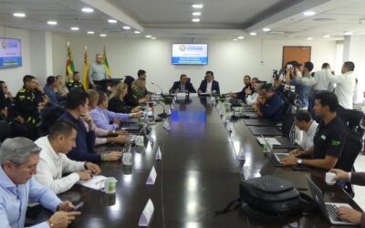 Consejo de Seguridad adopta medidas contundentes para garantizar la tranquilidad durante el cierre de año