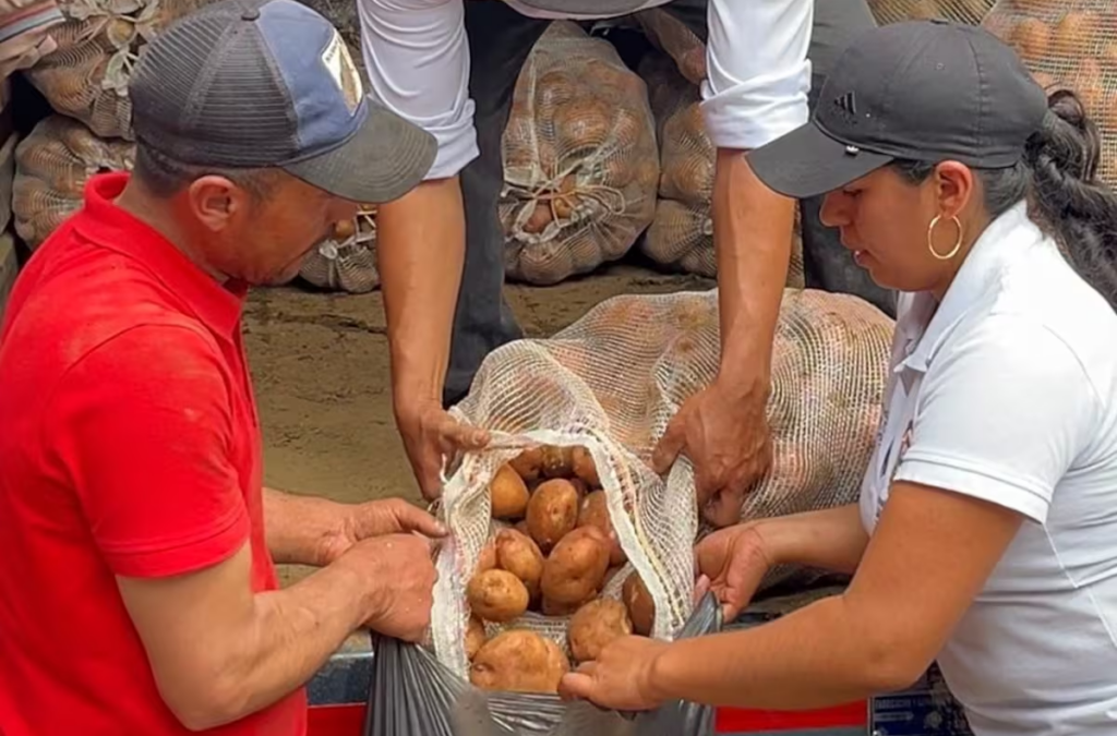 Bumangueses más vulnerables recibirán 70 toneladas de papa