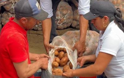 Bumangueses más vulnerables recibirán 70 toneladas de papa