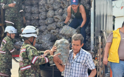 Con entrega de bultos de papa, la Alcaldía le cumplió a bumangueses más vulnerables