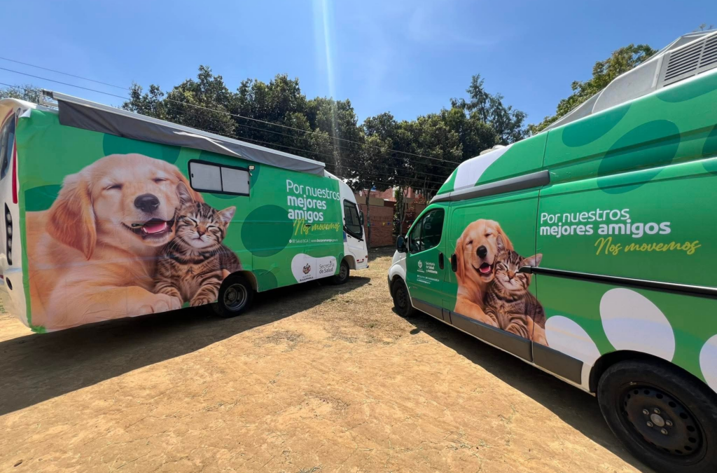 Arrancó el programa de esterilización de mascotas en Bucaramanga