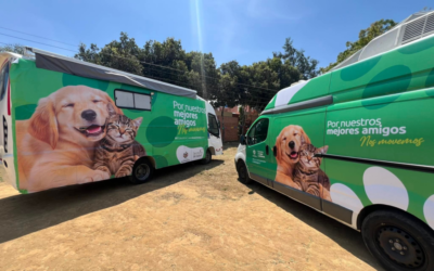 Arrancó el programa de esterilización de mascotas en Bucaramanga
