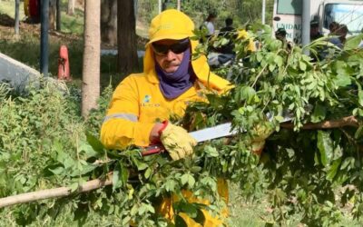 Comuna 1: Alcaldía lidera acciones para recuperar y embellecer el Parque Jardines del Tejar