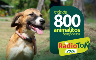 Más de 800 animales se benefician con la entrega de alimento de la Radiotón 2026
