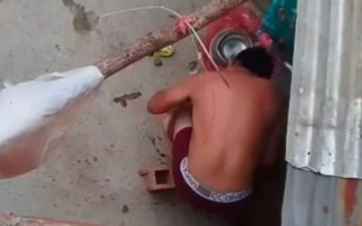 Justicia para Kira: Alcaldía pide mayor celeridad a la Fiscalía en caso de maltrato animal