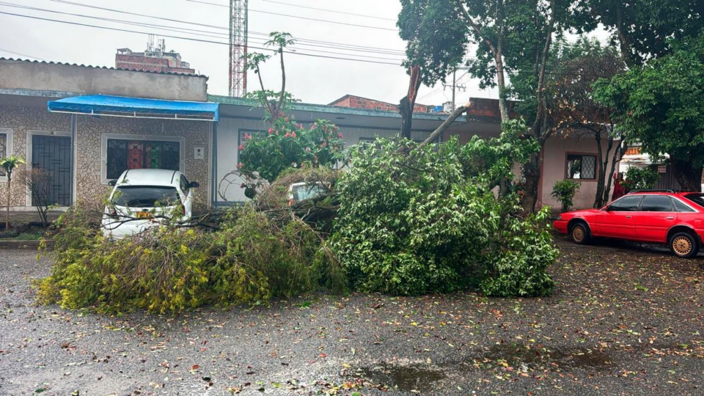 ¿Cómo prevenir emergencias durante época de lluvias?