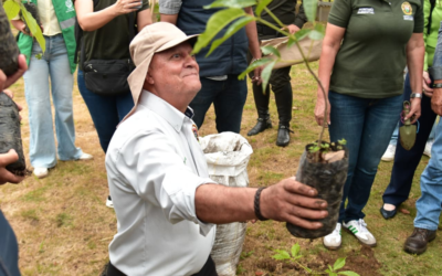 Paz con la naturaleza: únase a la jornada cívica ambiental