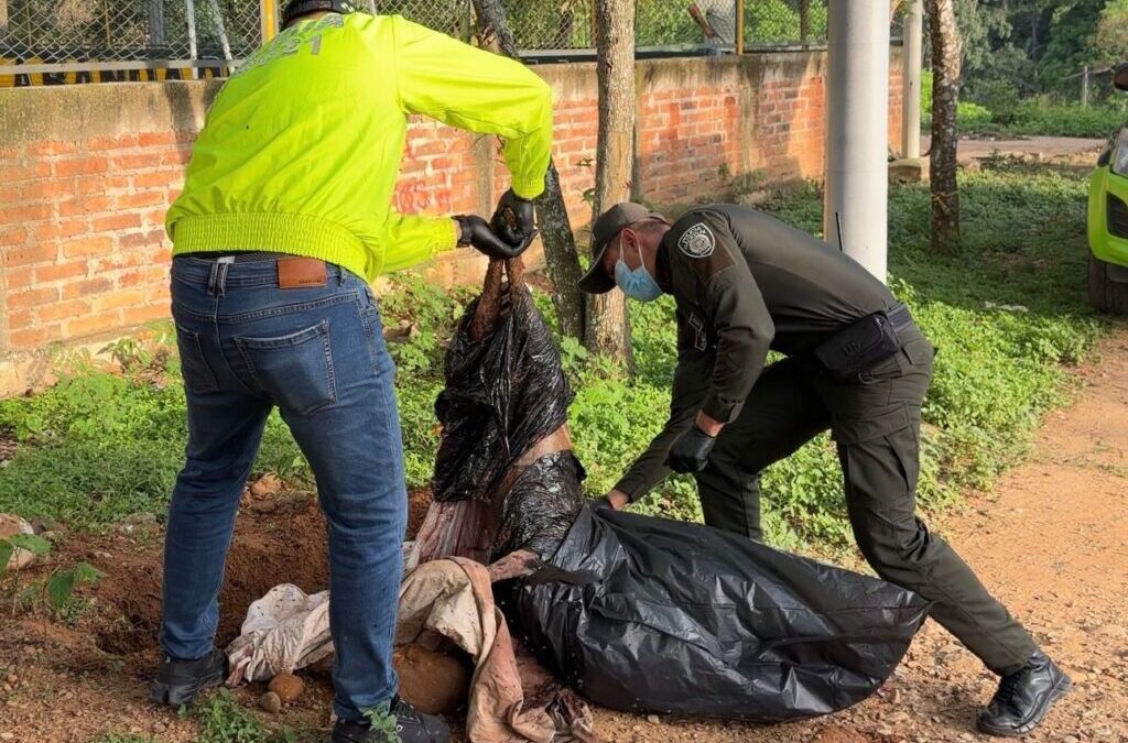 Ley Ángel: Alcaldía rechaza caso de maltrato animal y avanza en acciones para judicializar al responsable