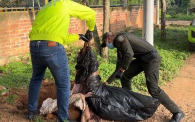 Ley Ángel: Alcaldía rechaza caso de maltrato animal y avanza en acciones para judicializar al responsable