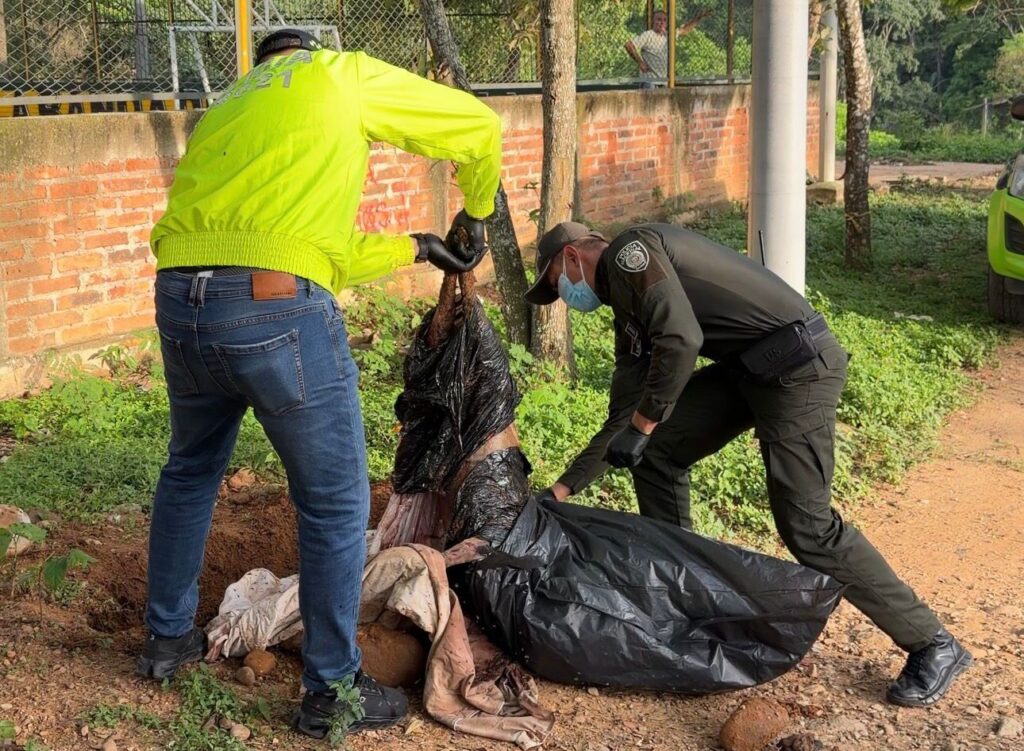 Ley Ángel: Alcaldía rechaza caso de maltrato animal y avanza en acciones para judicializar al responsable