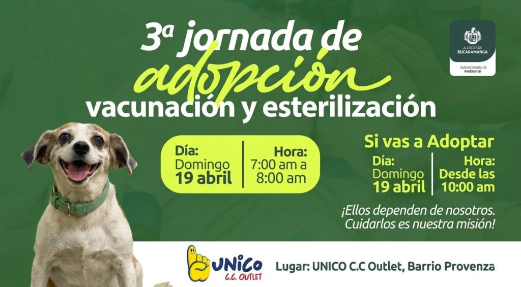 ¡Adopta, cuida y protege! Este 19 de abril se realizará jornada de Bienestar Animal en el CC Único