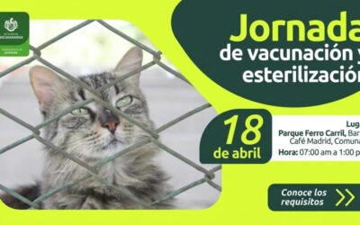 Este sábado habrá jornada de esterilización y vacunación en Café Madrid
