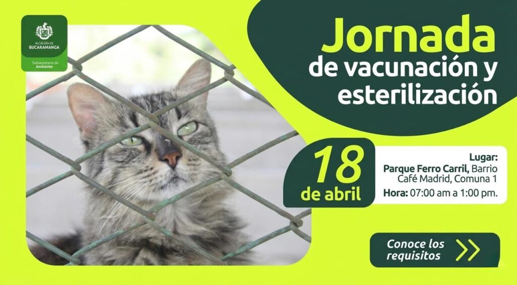 Este sábado habrá jornada de esterilización y vacunación en Café Madrid
