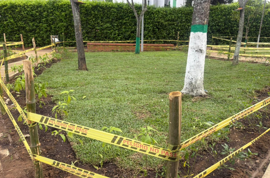 Así quedó el Parque de las Cigarras tras reverdecimiento