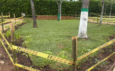 Así quedó el Parque de las Cigarras tras reverdecimiento