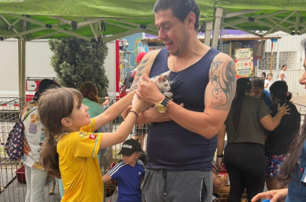 Más de 15 animales consiguieron hogar en la jornada de adopción