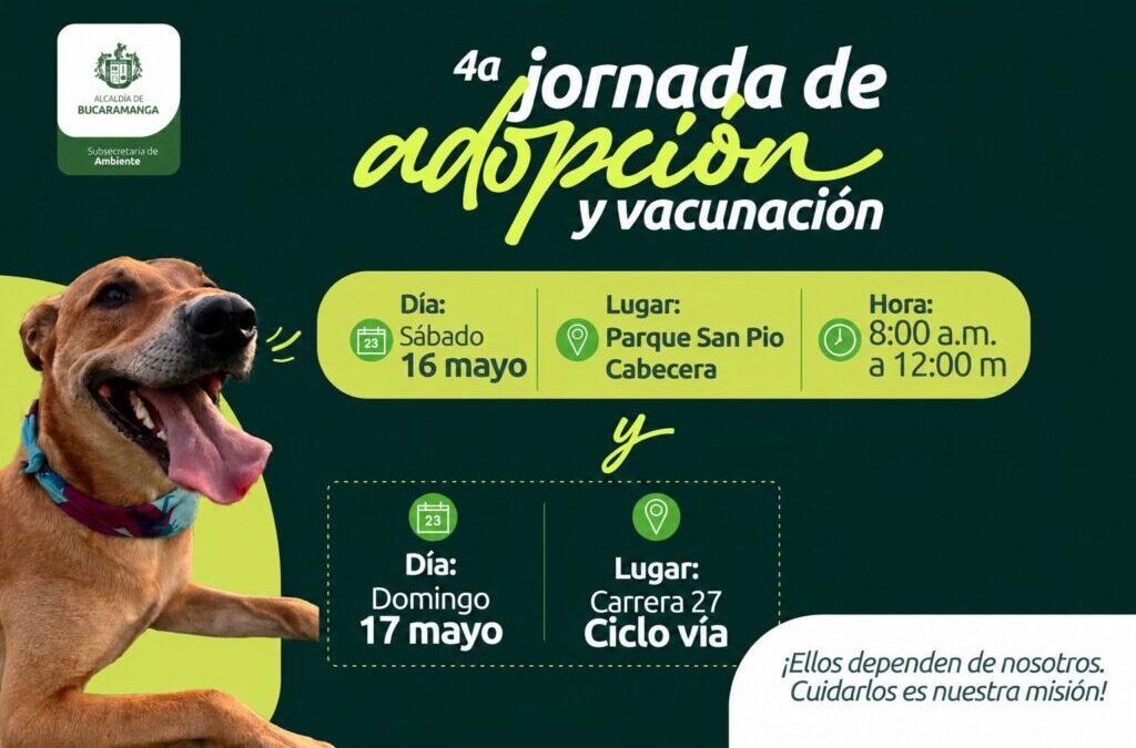 Participe en la 4ª jornada de adopción y vacunación animal