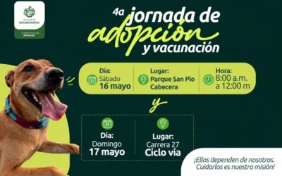 Participe en la 4ª jornada de adopción y vacunación animal