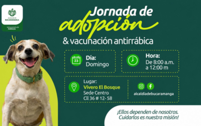 Este domingo habrá jornada gratuita de bienestar animal