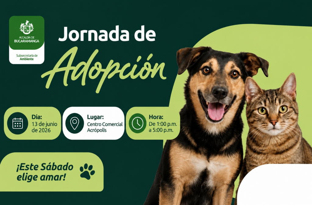 Habrá dos jornadas de adopción animal este fin de semana