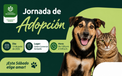 Habrá dos jornadas de adopción animal este fin de semana