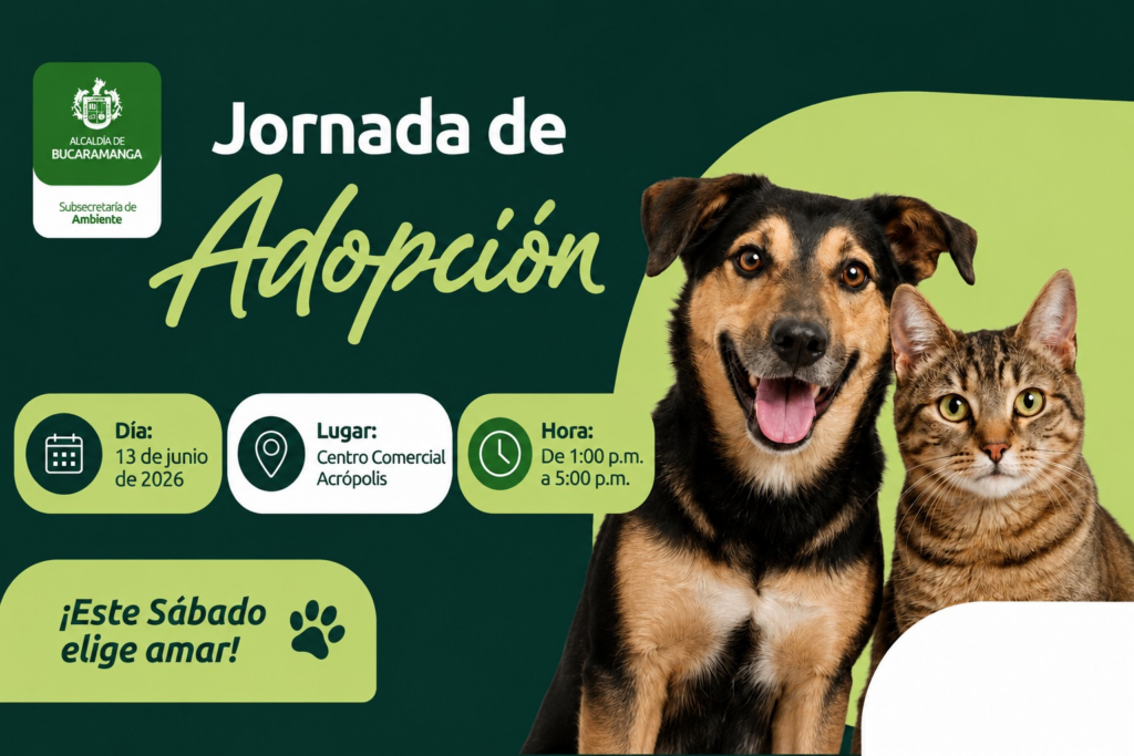 Habrá dos jornadas de adopción animal este fin de semana