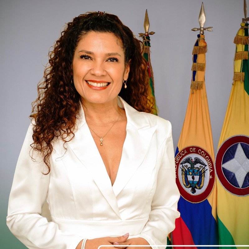 Jefe de Oficina OFAI