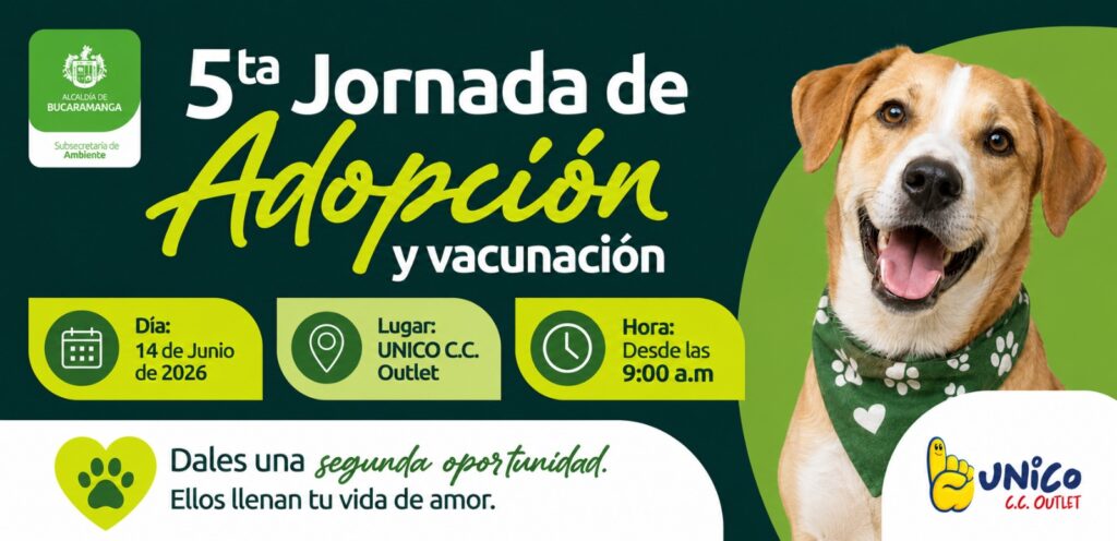 Habrá dos jornadas de adopción animal este fin de semana