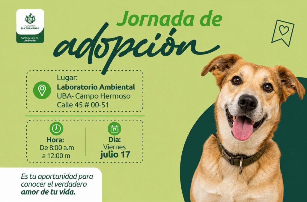 ¡Abre tu corazón! La Alcaldía de Bucaramanga realizará una nueva Jornada de Adopción este 17 de julio