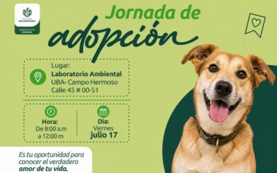 ¡Abre tu corazón! La Alcaldía de Bucaramanga realizará una nueva Jornada de Adopción este 17 de julio