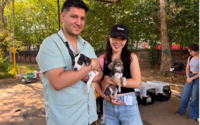 UNIDAD DE BIENESTAR ANIMAL REALIZÓ CON ÉXITO LA PRIMERA JORNADA PILOTO DE ADOPCIÓN INTRAMURAL