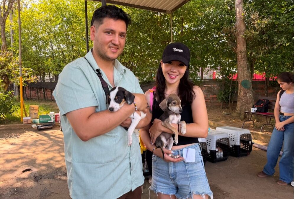 UNIDAD DE BIENESTAR ANIMAL REALIZÓ CON ÉXITO LA PRIMERA JORNADA PILOTO DE ADOPCIÓN INTRAMURAL